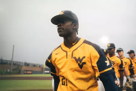 Austin Davis baseball