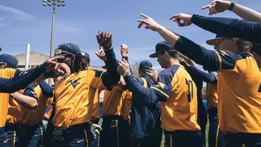 wvu baseball