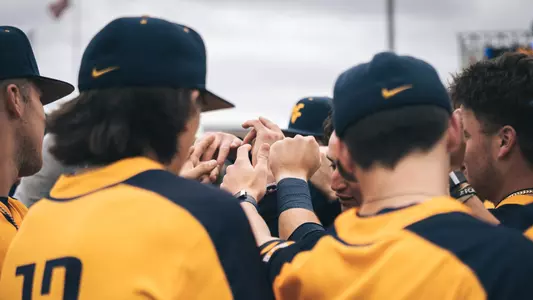 wvu baseball