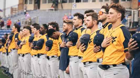 wvu baseball
