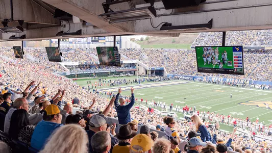 Diversified-Box-Seats
