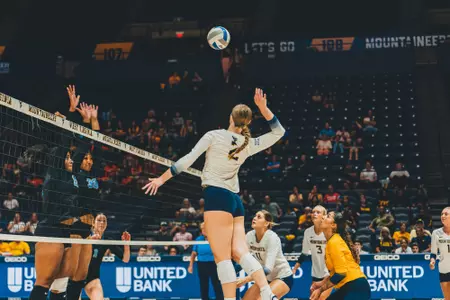 bailey miller volleyball