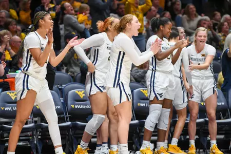The bench leads the cheers.