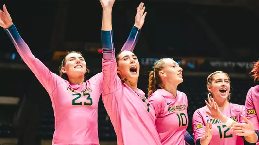 Volleyball Celebration