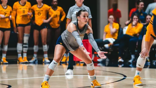 Camilla Covas preparing for a dig