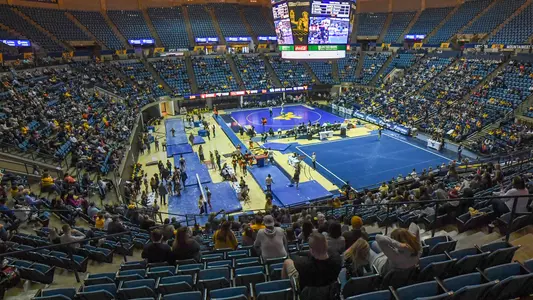 Beauty and the Beast