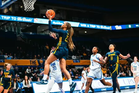 Lauren Fields Pitt