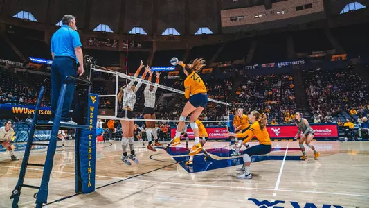 Hailey Green kill vs Texas 11/3