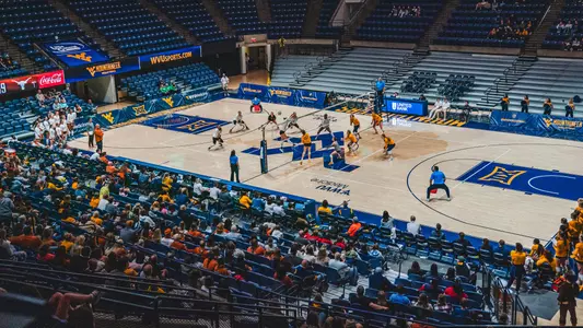 Volleyball versus Texas