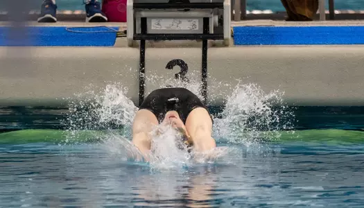 mccutchan swim and dive