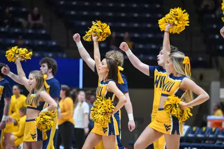 The cheerleader cheer on the Mountaineers.