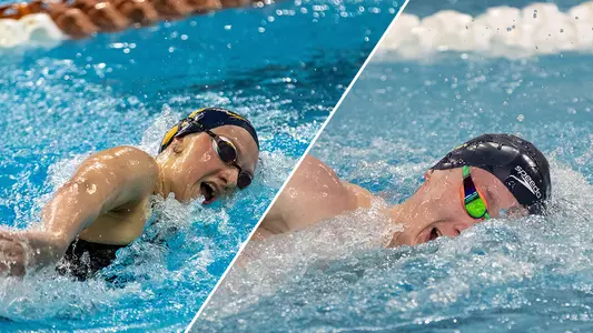 s&d- busch and mullen