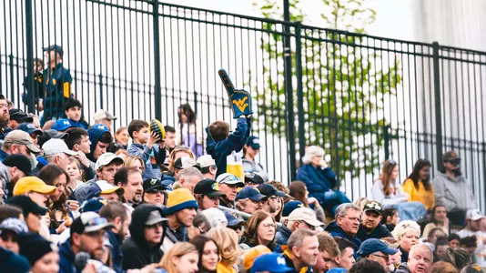 Penn State Baseball Crowd