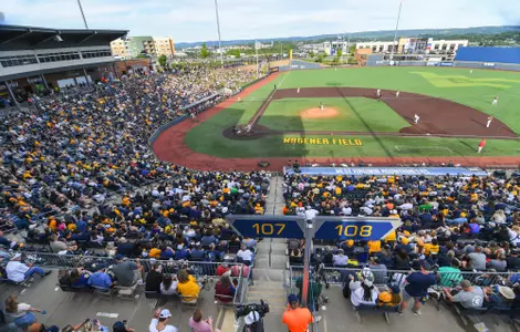 A record crowd for a WVU baseball game