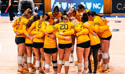 Volleyball Team Huddle