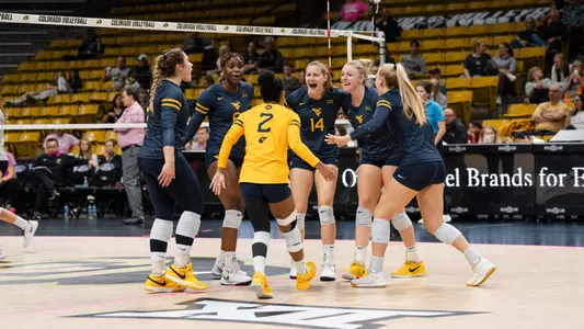 Volleyball celebration