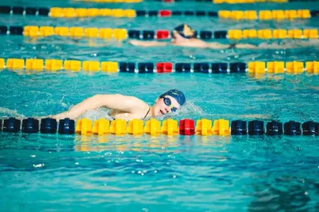 Swim-dive practice 2024