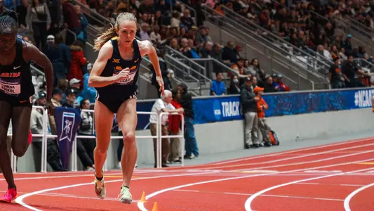 Ceili McCabe