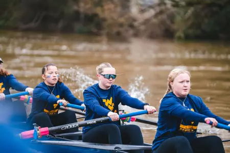 GoldBlueRegatta