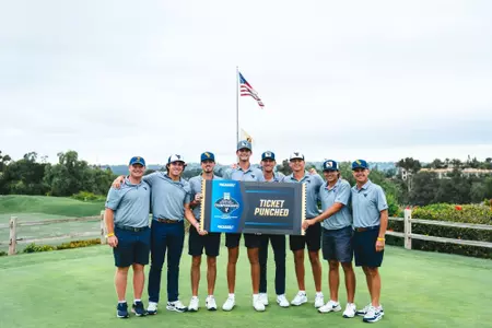golf ticket punched