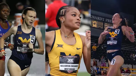 Tait, Williamson, Vanderheyden collage