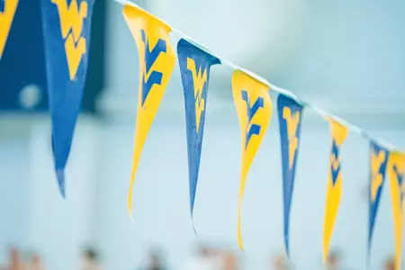 Swim and Dive flags