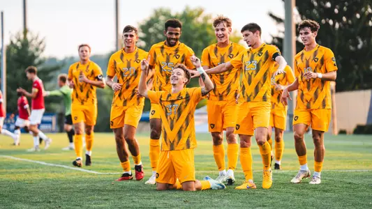 Soccer Team Celebration