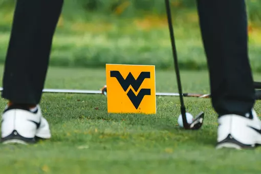 WV shot