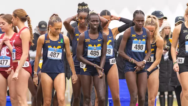 NCAA XC Championship