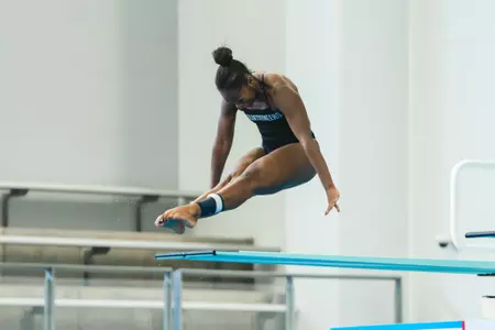 Amari Brown-Swint vs. Loyola 2025