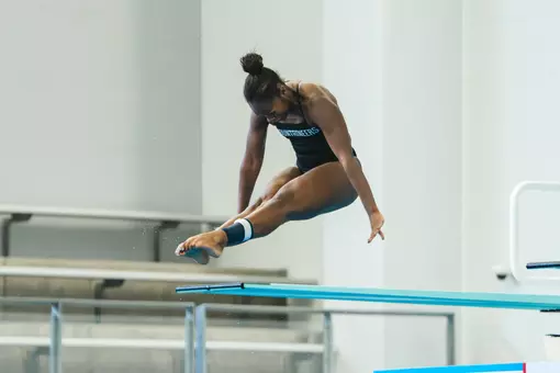 Amari Brown-Swint vs. Loyola 2025