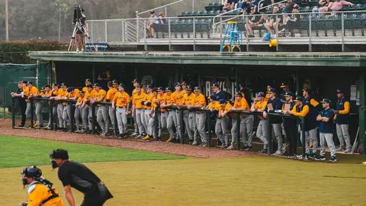 Bench at Jacksonville