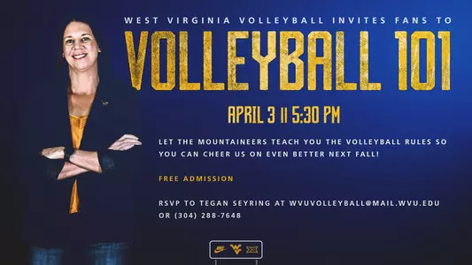 Volleyball 101 graphic