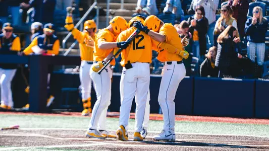 Home Run Celebration