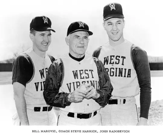 Marovic Harrick and Radosevich