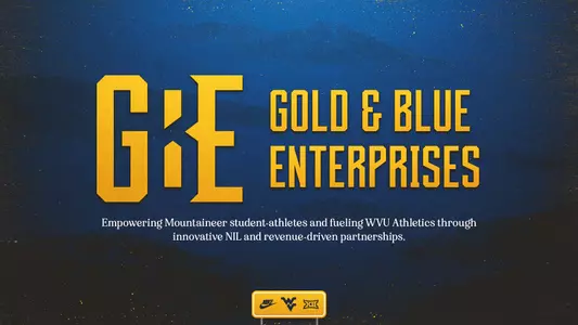 gold & blue enterprises