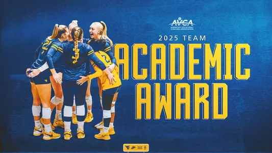 VB AVCA Team Academic Award