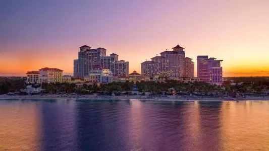 Baha Mar Hoops Pink Flamingo Championship