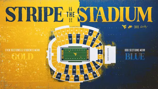 Stripe the Stadium 2025