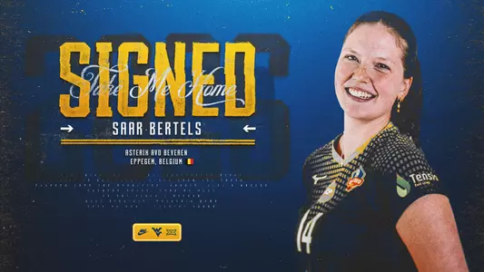 Saar Bertels Story