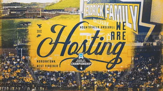 Baseball Hosting Graphic