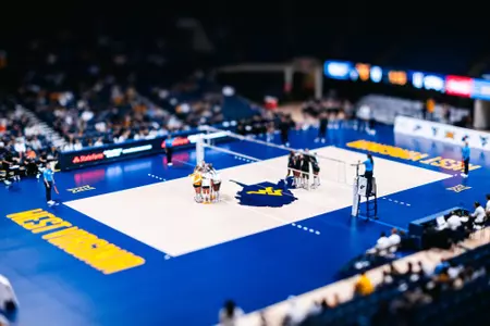 WVU Volleyball is playing against No. 11 TCU on Sept. 27