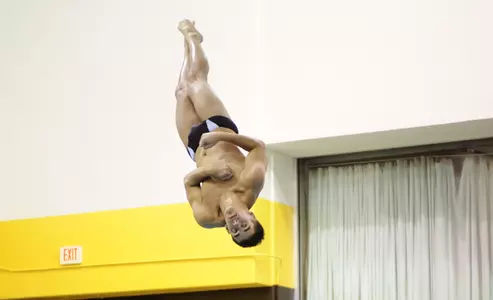 UW Divers Conclude Cowboy Invite with Two Victories Image