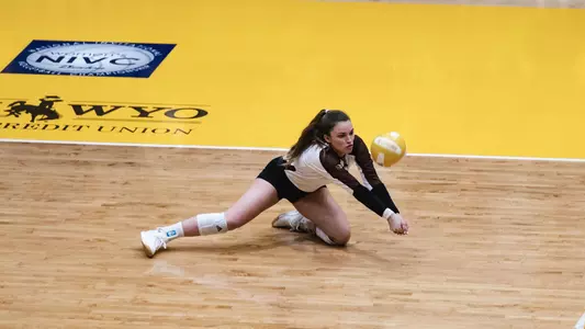 Fieldsfinaldig