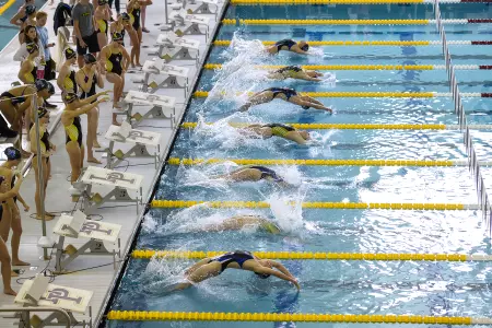 Generic Swim & Dive