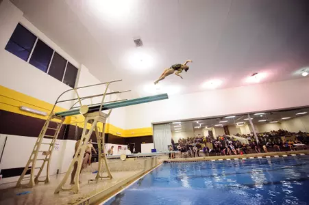 Swimming, Brown and Gold Meet.