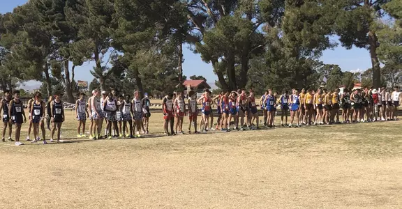 XC