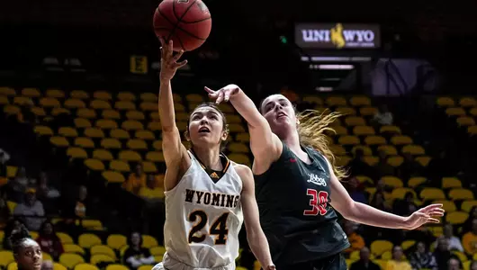 Olson_UNM_layup