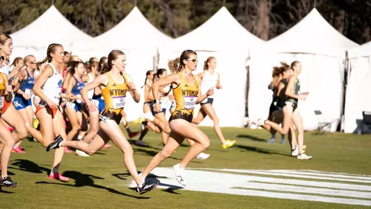 MW XC
