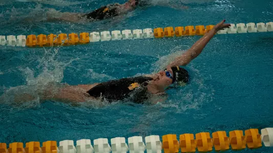 Katherine Beauchene